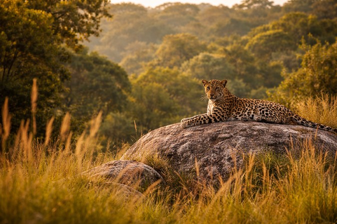 The Best Places for Safari Experiences in Sri Lanka