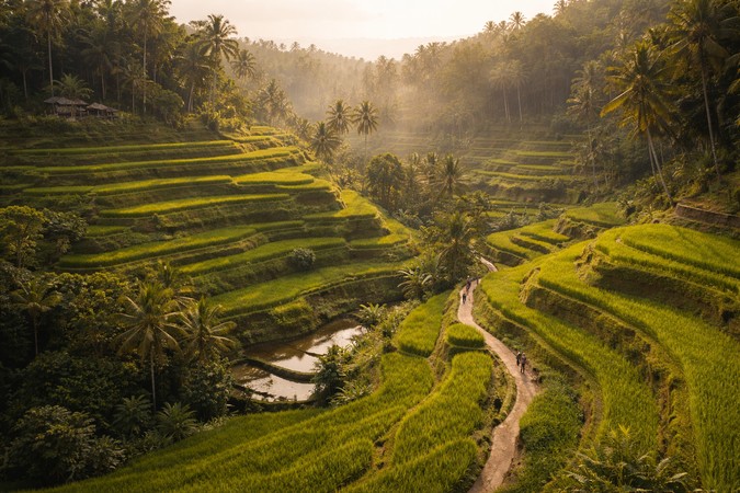 A Guide to Bali