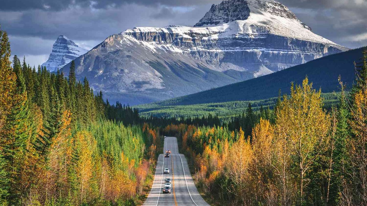 Best Scenic Drives You Need to Experience