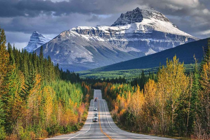 Best Scenic Drives You Need to Experience